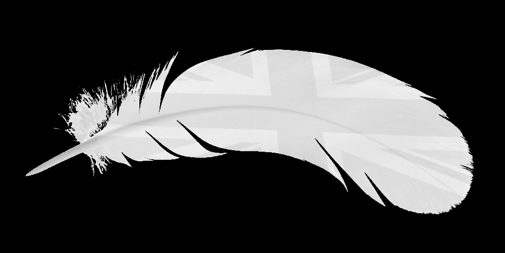 [Image: jackfeather.png]